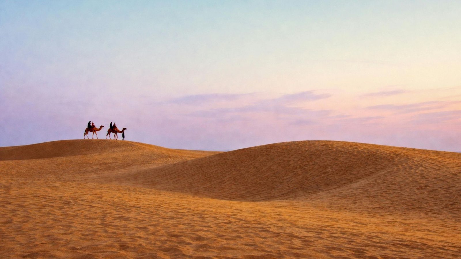 Overnight Camel Safari - Sleeping under the Stars