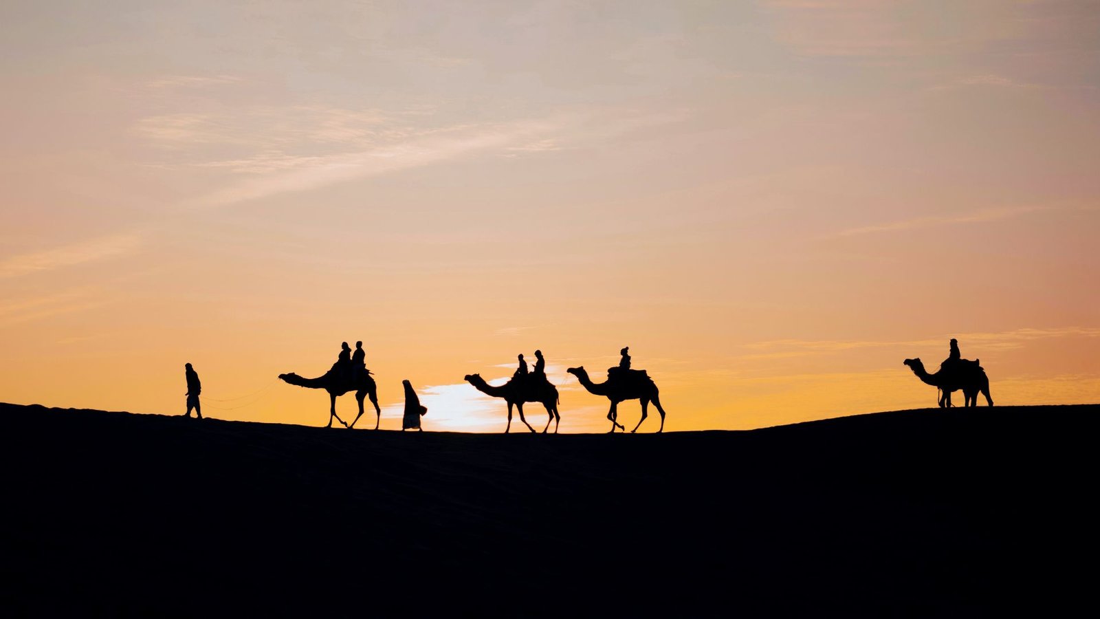 Overnight Camel Safari - Sleeping under the Stars